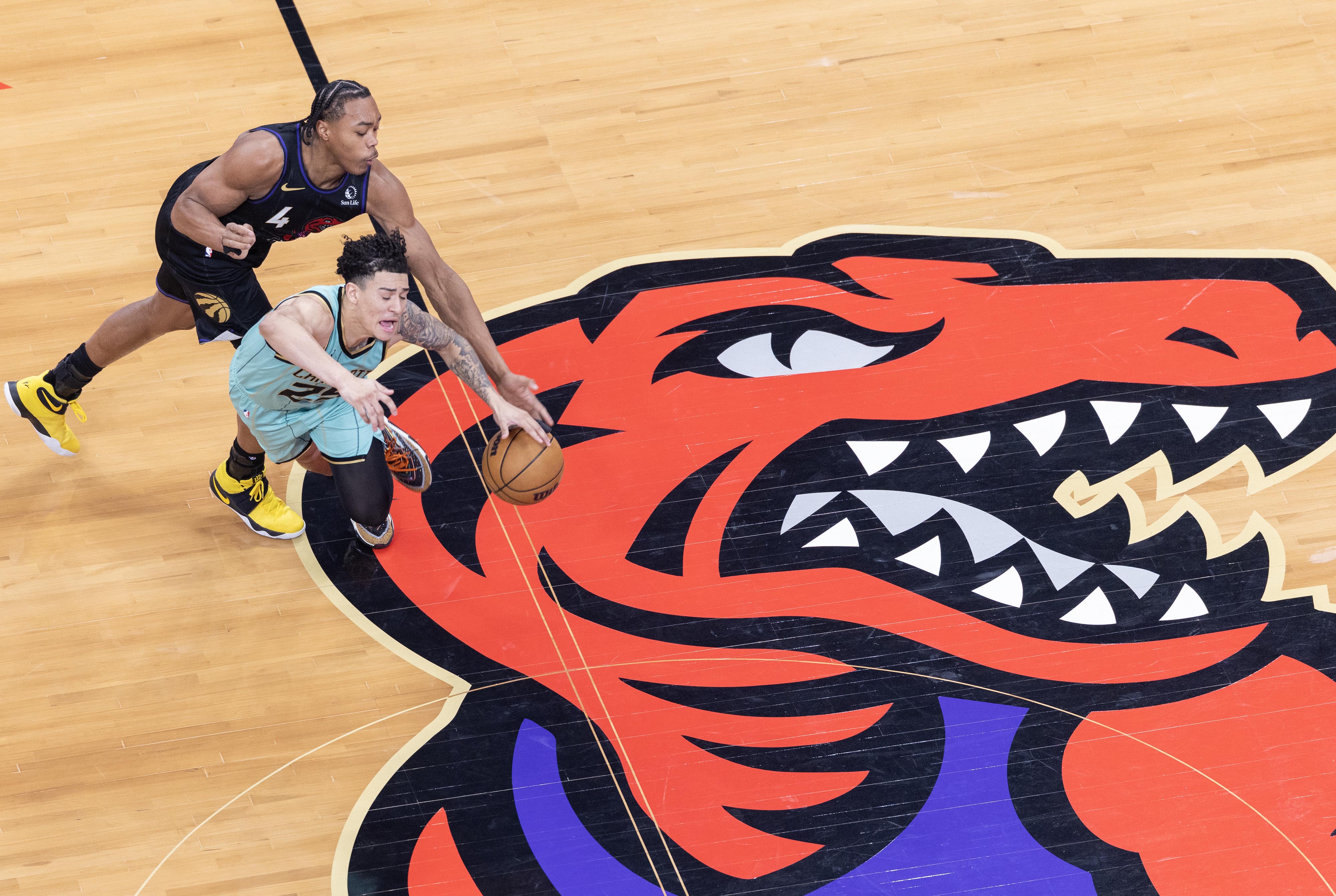 关于猛龙见证历史,轻松战胜活塞,保持领先的信息 关于猛龙见证历史,轻松战胜活塞,保持领先的信息