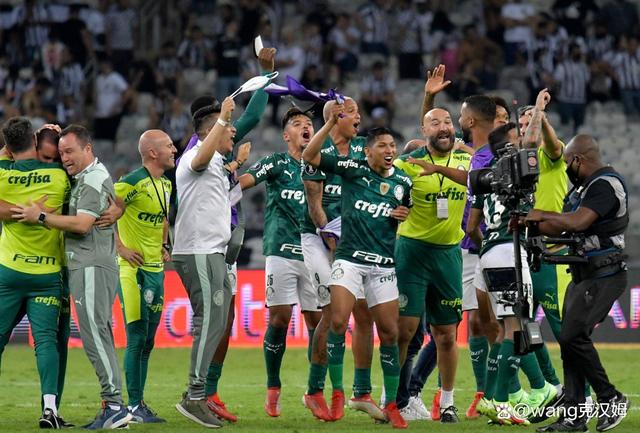 帕尔梅拉斯小将表现抢眼,劲旅添新力量的简单介绍 帕尔梅拉斯小将表现抢眼,劲旅添新力量的简单介绍