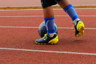 aoa体育直播-安道尔力擒波黑，惊险保留出线机会